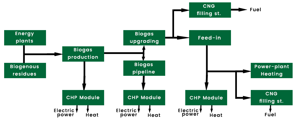 Diagram for producing, preparation and usage of the biogas