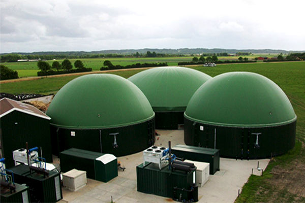 Sample of digestors which produce biogas and digestate fertilizer
