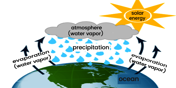 Diagram of Water Cycle